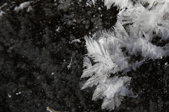 冰雪奇观一线蓝天冰霜花冰凌羽毛