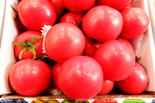 蕃茄西红柿高清图片