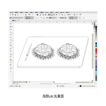 海胆cdr矢量图