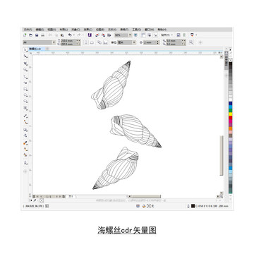 海螺絲cdr矢量圖