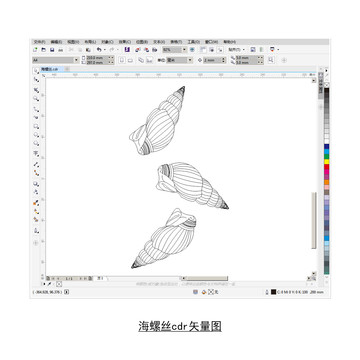 海螺丝cdr矢量图