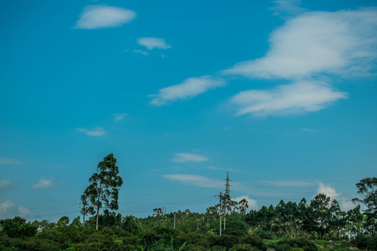 夏天的原野风景蓝天白云小清新