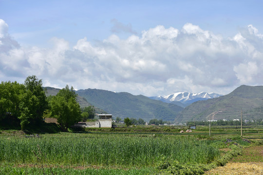 乡村风光