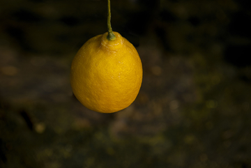 一个柠檬果