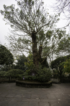 安居古城