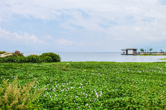 洱海风光