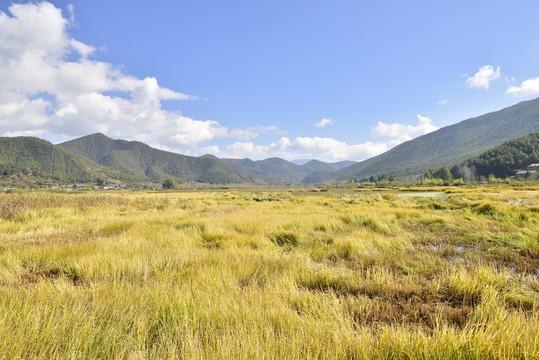 泸沽湖草海