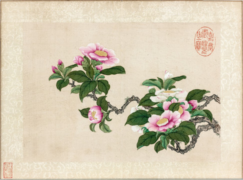 王圖炳山茶圖