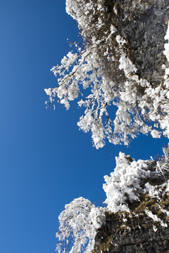 岩壁雪景