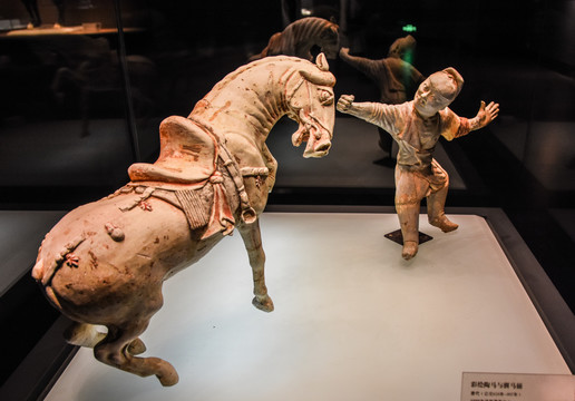唐代彩绘陶马与驯马俑