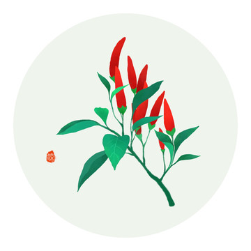 手繪朝天椒