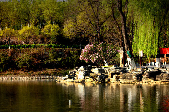 北京北宫国家森林公园