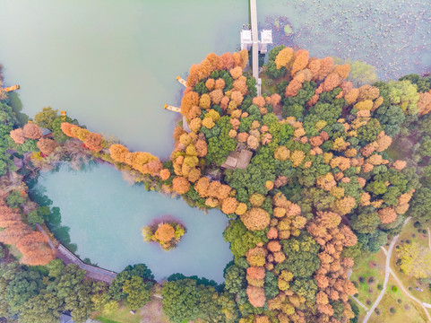 湖北武汉东湖风景区深秋初冬风光