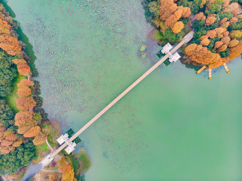 湖北武汉东湖风景区深秋初冬风光