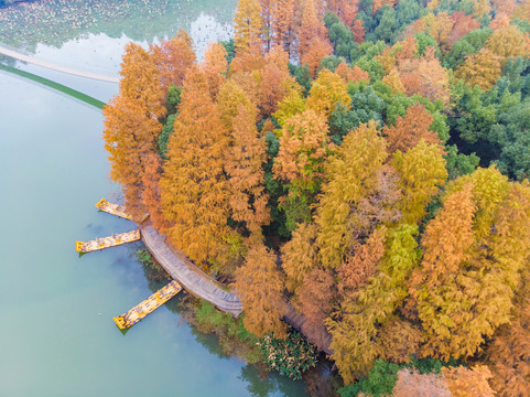 湖北武汉东湖风景区深秋初冬风光