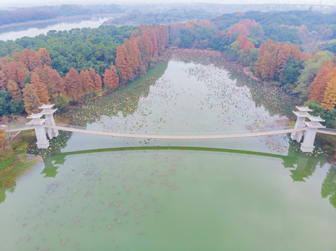 湖北武汉东湖风景区深秋初冬风光