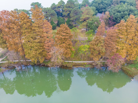 湖北武汉东湖风景区深秋初冬风光