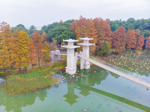 湖北武汉东湖风景区深秋初冬风光