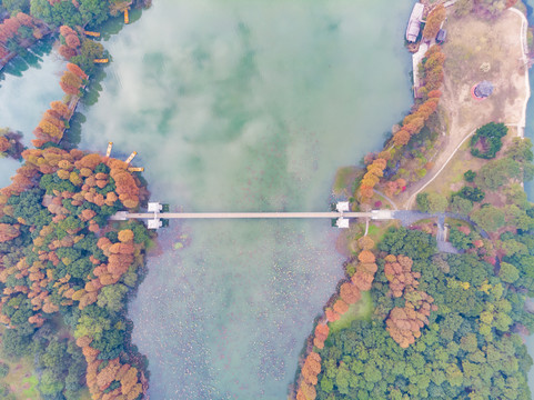 湖北武汉东湖风景区深秋初冬风光