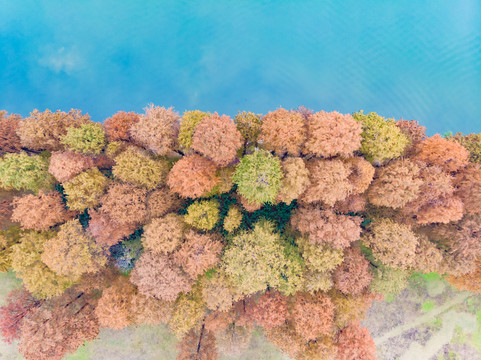 湖北武汉东湖风景区深秋初冬风光