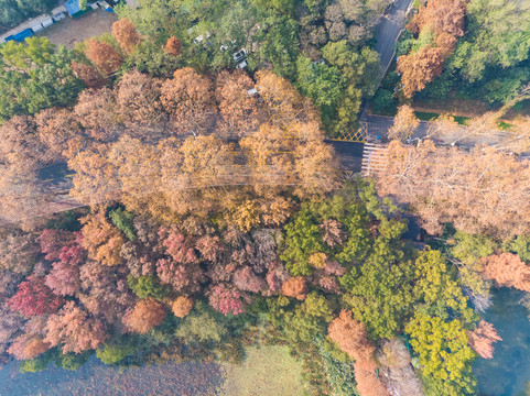 湖北武汉东湖风景区深秋初冬风光