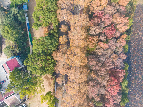 湖北武汉东湖风景区深秋初冬风光