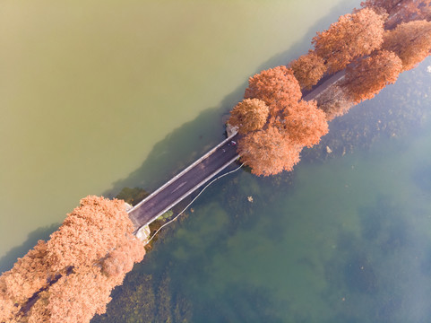 湖北武汉东湖风景区深秋初冬风光