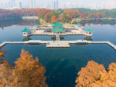 湖北武汉东湖风景区深秋初冬风光