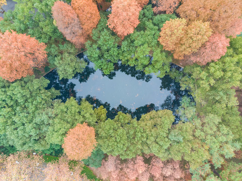 湖北武汉东湖风景区深秋初冬风光