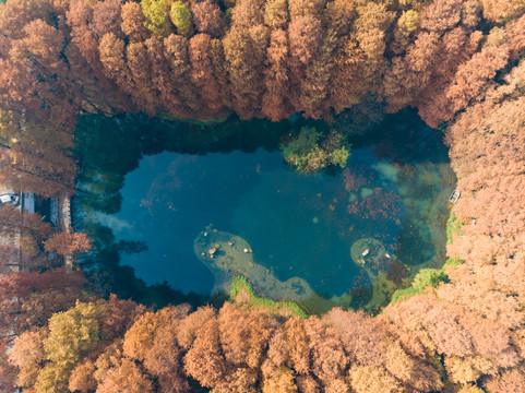 湖北武汉东湖风景区深秋初冬风光