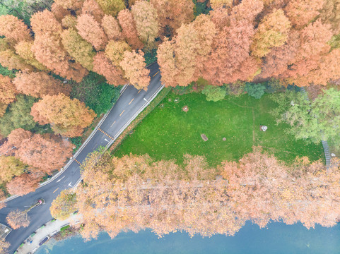 湖北武汉东湖风景区深秋初冬风光