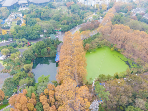 湖北武汉东湖风景区深秋初冬风光