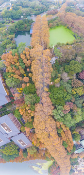 湖北武汉东湖风景区深秋初冬风光