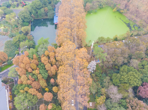 湖北武汉东湖风景区深秋初冬风光