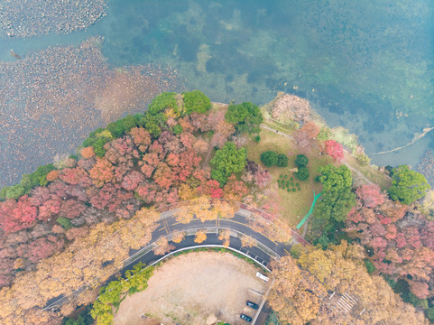 湖北武汉东湖风景区深秋初冬风光