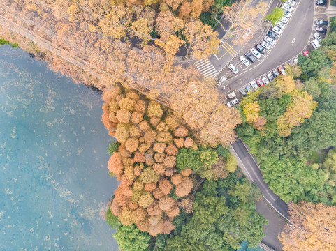 湖北武汉东湖风景区深秋初冬风光