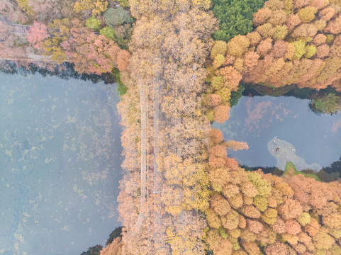 湖北武汉东湖风景区深秋初冬风光