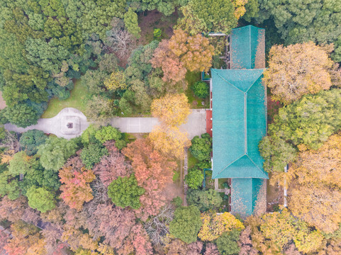 湖北武汉东湖风景区深秋初冬风光