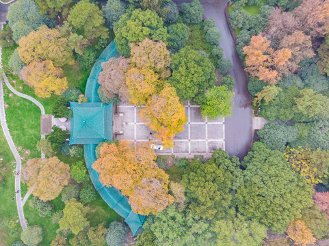 湖北武汉东湖风景区深秋初冬风光