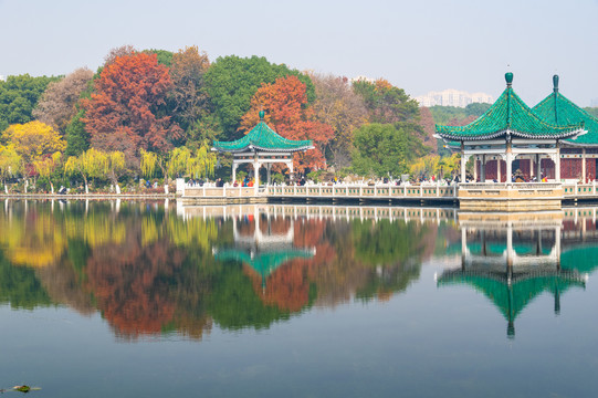 湖北武汉东湖风景区深秋初冬风光