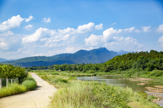 田间小路