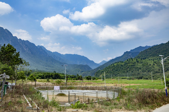 田野