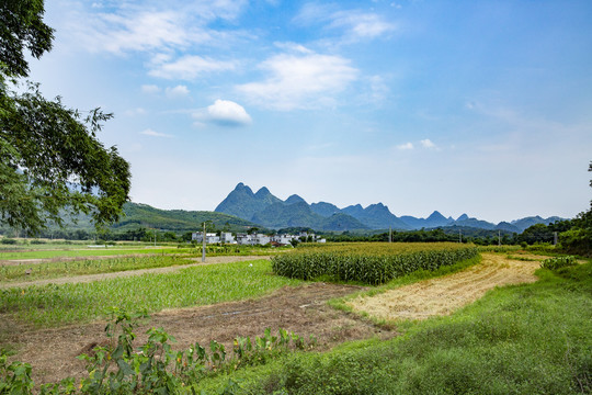 乡村风貌