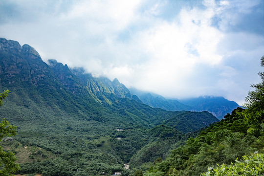 茶山