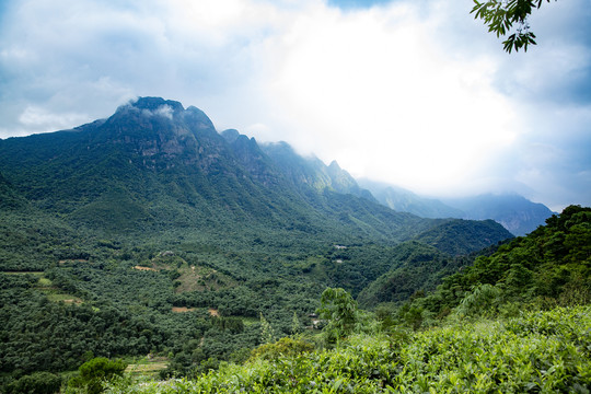 山景