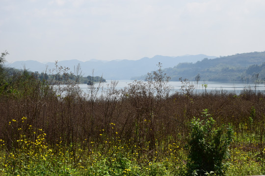 西藏山峰