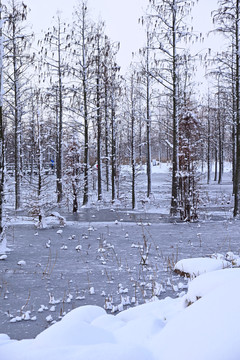 雪景