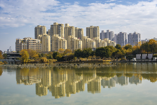 高楼建筑群