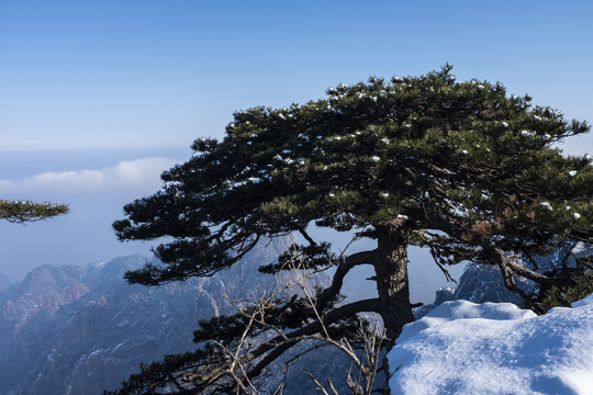 黄山雪景