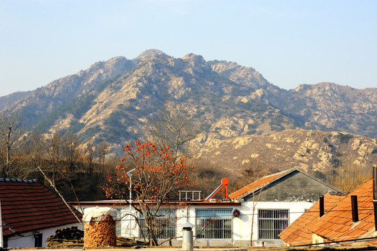 东北小山村